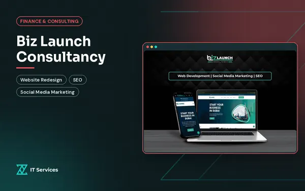 Biz Launch Consultancy project cover